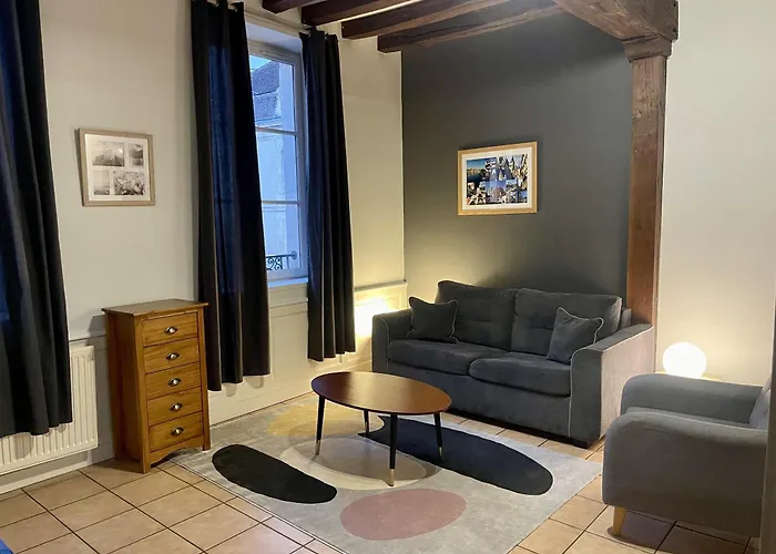 Appartement Le Coche D\'Eau Auxerre Les Quais