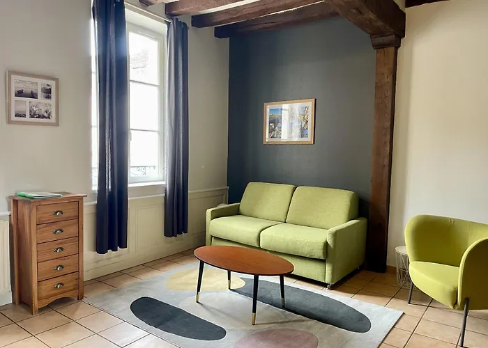 Appartement Le Coche d\'Eau Auxerre Les Quais